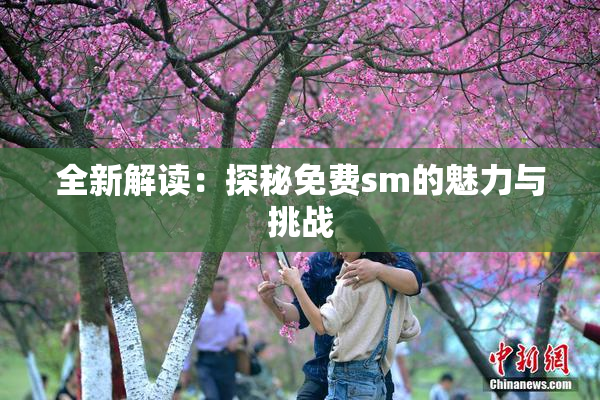 全新解读：探秘免费sm的魅力与挑战