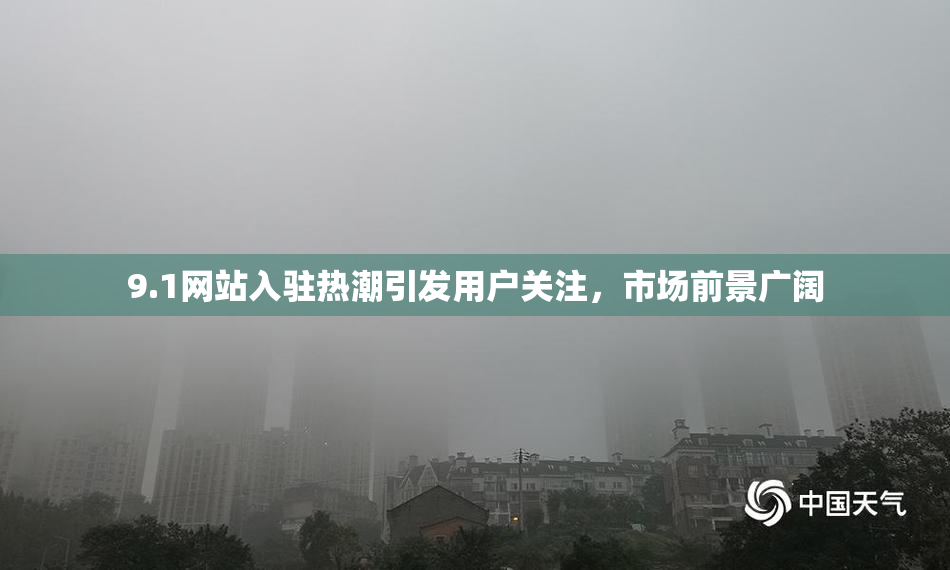 9.1网站入驻热潮引发用户关注，市场前景广阔