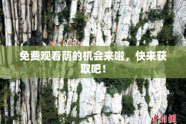 免费观看荫的机会来啦，快来获取吧！