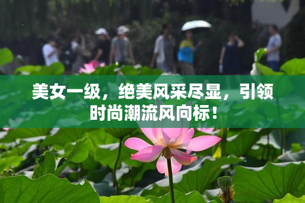 美女一级，绝美风采尽显，引领时尚潮流风向标！