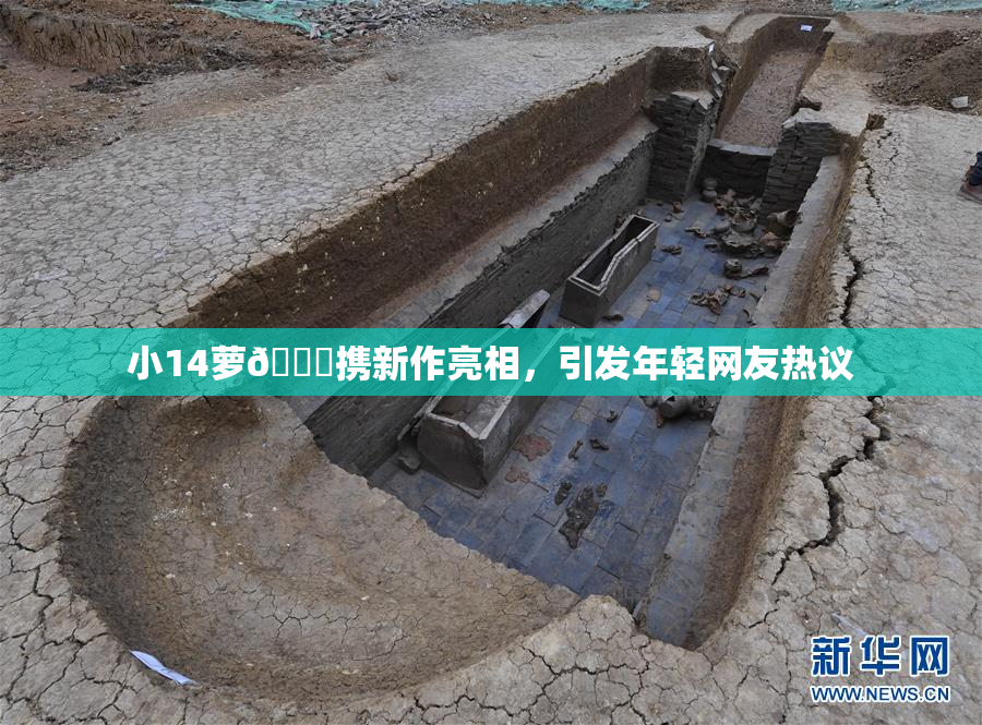 小14萝🔞携新作亮相，引发年轻网友热议
