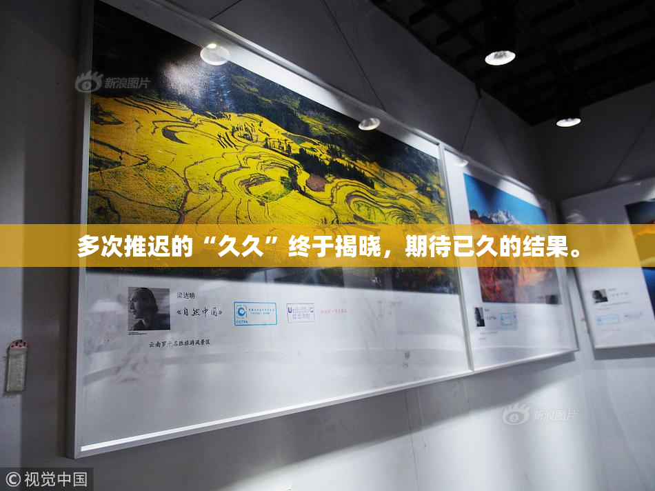 多次推迟的“久久”终于揭晓，期待已久的结果。