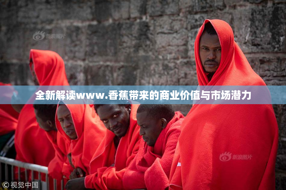 全新解读www.香蕉带来的商业价值与市场潜力