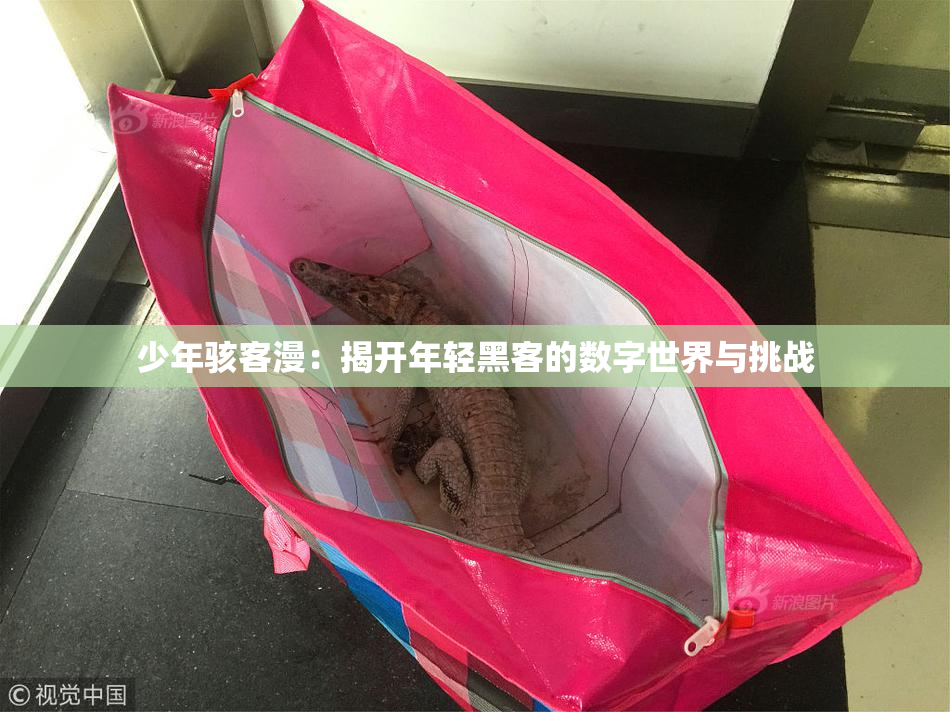 少年骇客漫：揭开年轻黑客的数字世界与挑战