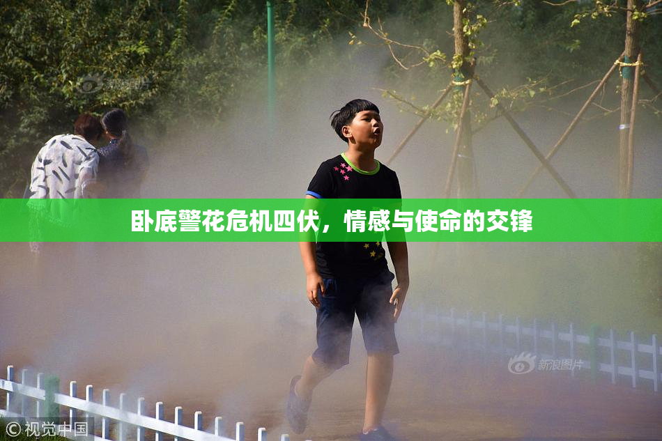 卧底警花危机四伏，情感与使命的交锋