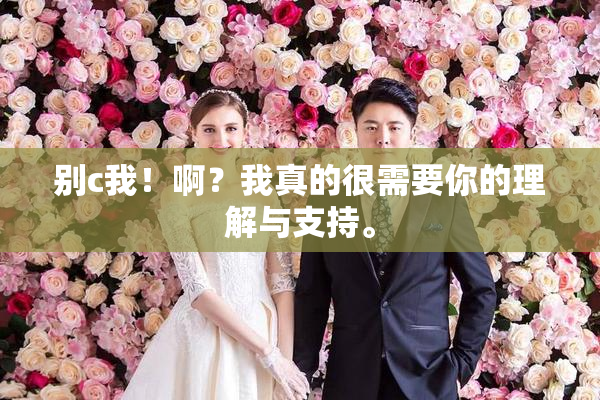 别c我！啊？我真的很需要你的理解与支持。