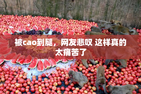 被cao到腿，网友悲叹 这样真的太痛苦了