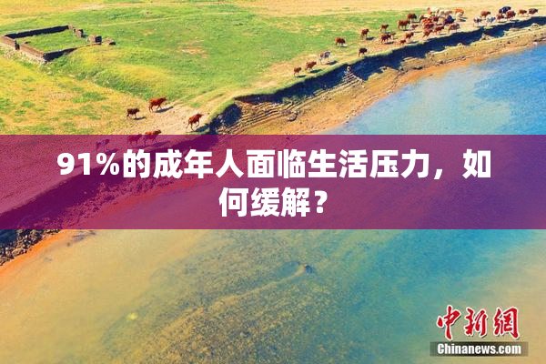 91%的成年人面临生活压力，如何缓解？