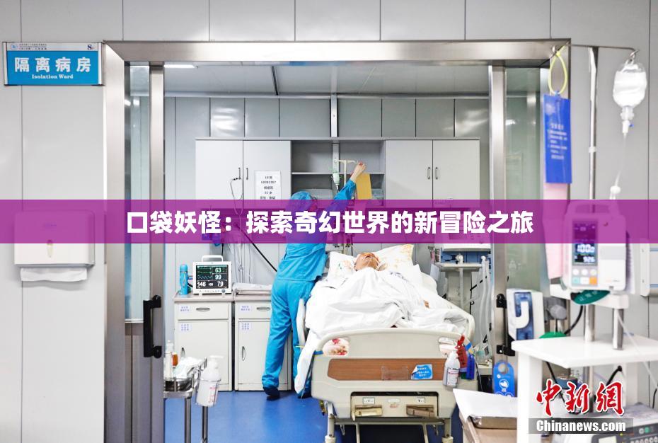 口袋妖怪：探索奇幻世界的新冒险之旅