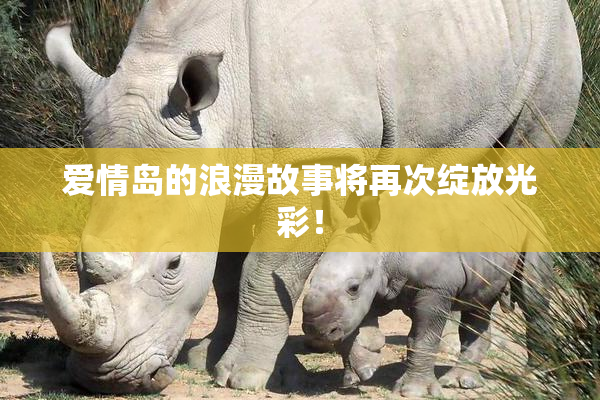 爱情岛的浪漫故事将再次绽放光彩！