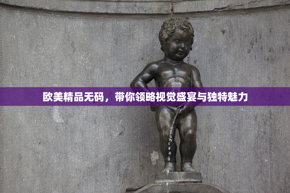 欧美精品无码，带你领略视觉盛宴与独特魅力