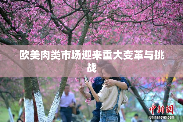 欧美肉类市场迎来重大变革与挑战