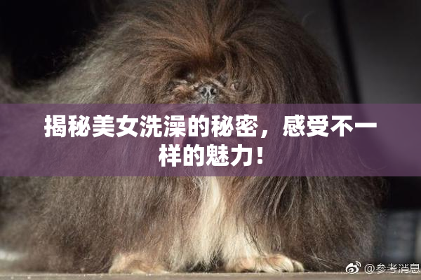 揭秘美女洗澡的秘密，感受不一样的魅力！