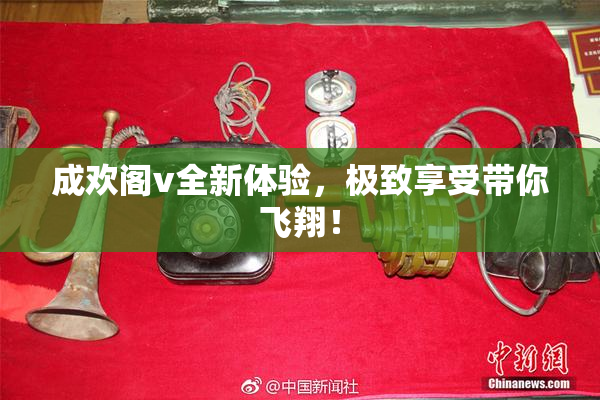 成欢阁v全新体验，极致享受带你飞翔！