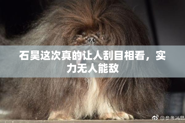 石昊这次真的让人刮目相看，实力无人能敌