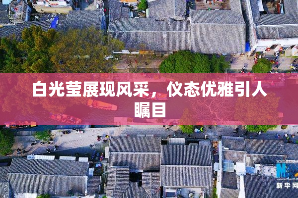 白光莹展现风采，仪态优雅引人瞩目