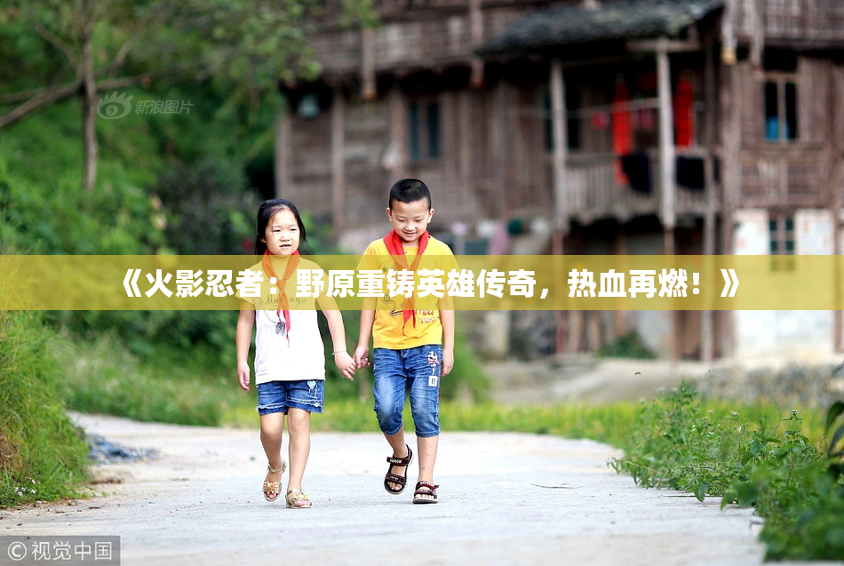 《火影忍者：野原重铸英雄传奇，热血再燃！》