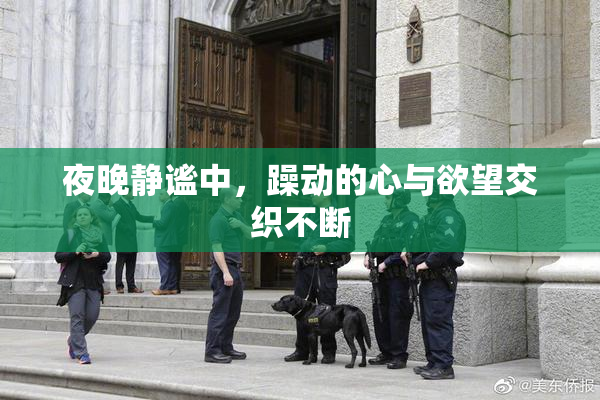 夜晚静谧中，躁动的心与欲望交织不断