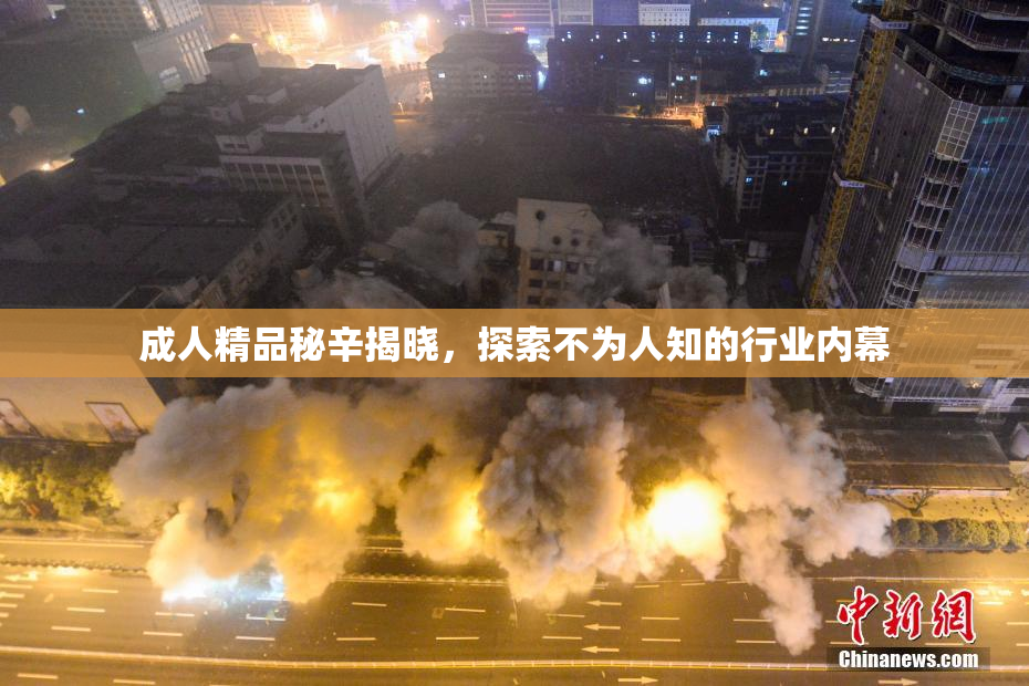 成人精品秘辛揭晓，探索不为人知的行业内幕