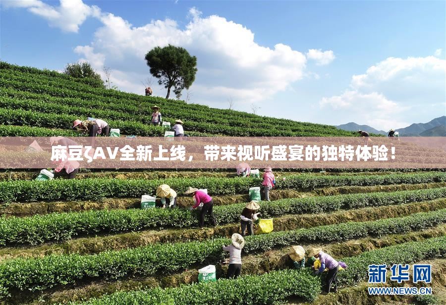 麻豆ζAV全新上线，带来视听盛宴的独特体验！