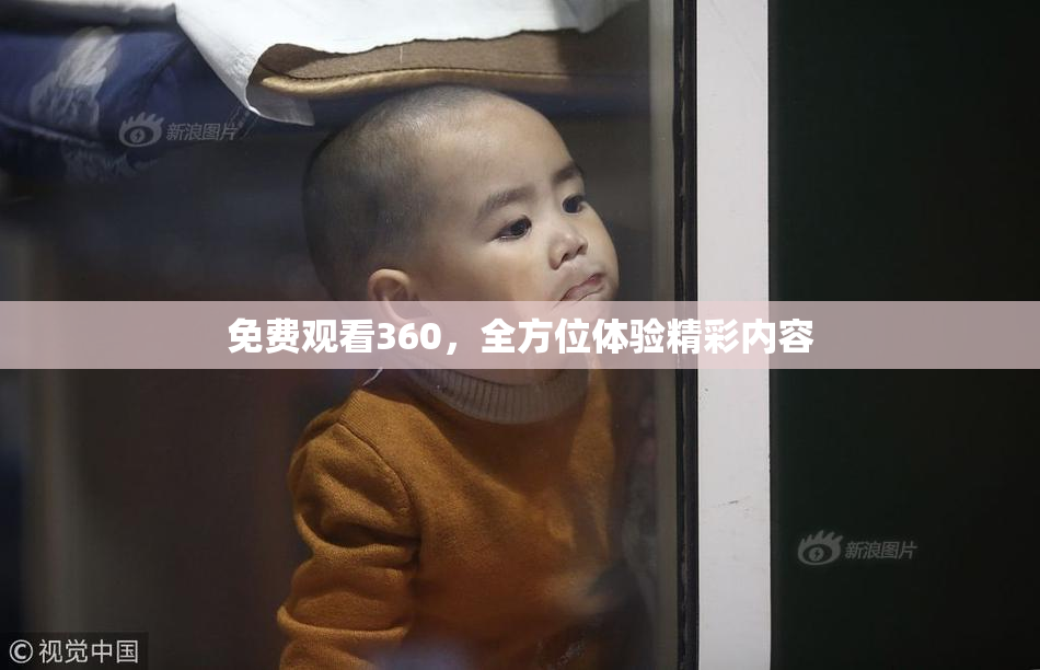 免费观看360，全方位体验精彩内容