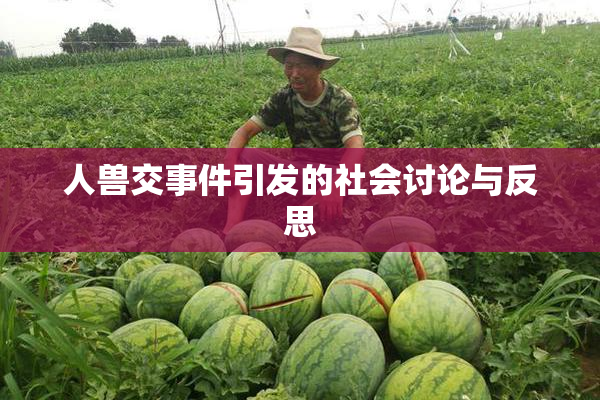 人兽交事件引发的社会讨论与反思