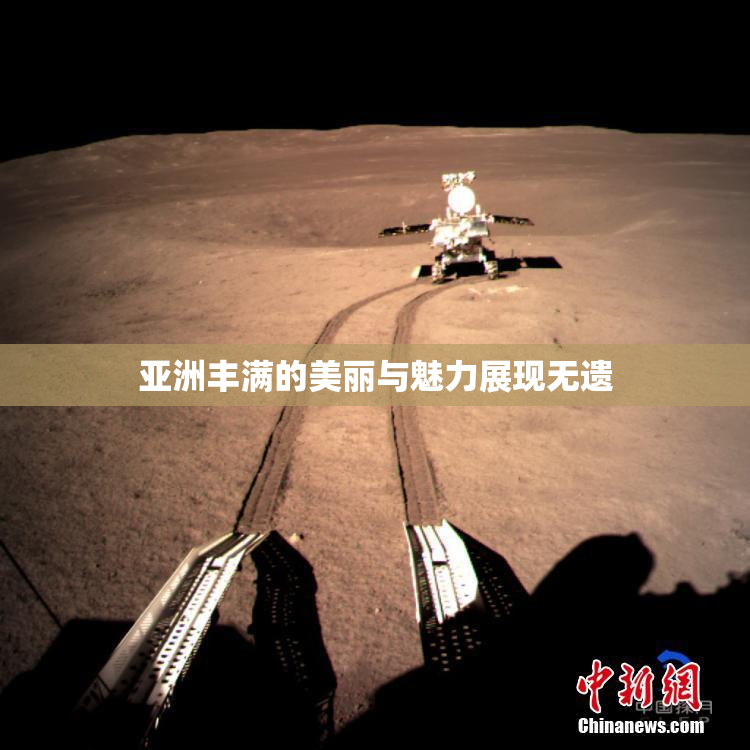 亚洲丰满的美丽与魅力展现无遗