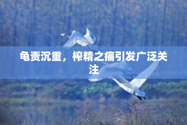 龟责沉重，榨精之痛引发广泛关注