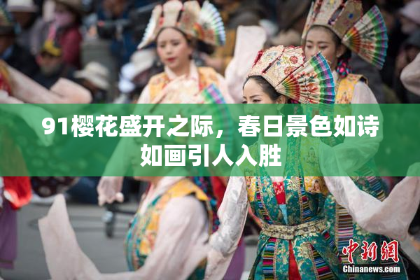 91樱花盛开之际，春日景色如诗如画引人入胜