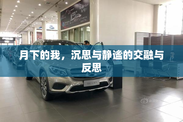月下的我，沉思与静谧的交融与反思