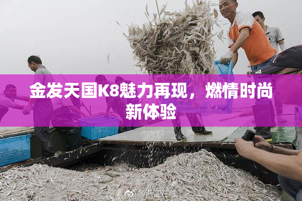 金发天国K8魅力再现，燃情时尚新体验