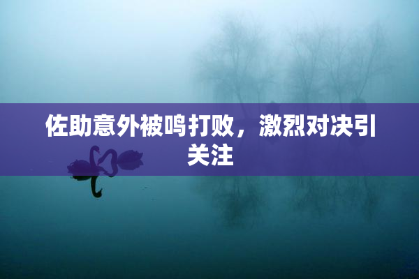 佐助意外被鸣打败，激烈对决引关注