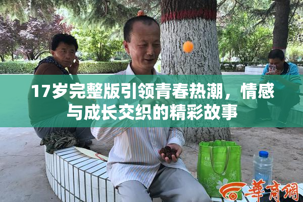 17岁完整版引领青春热潮，情感与成长交织的精彩故事