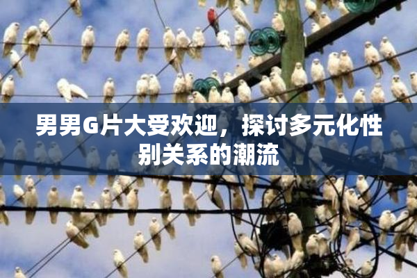 男男G片大受欢迎，探讨多元化性别关系的潮流