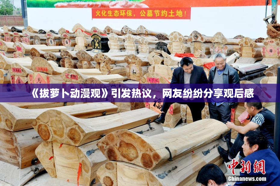 《拔萝卜动漫观》引发热议，网友纷纷分享观后感