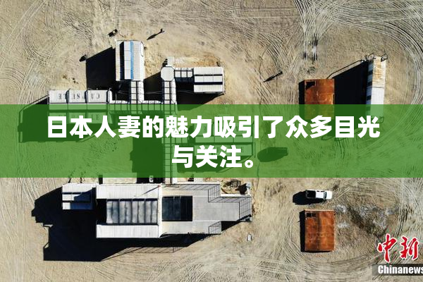日本人妻的魅力吸引了众多目光与关注。