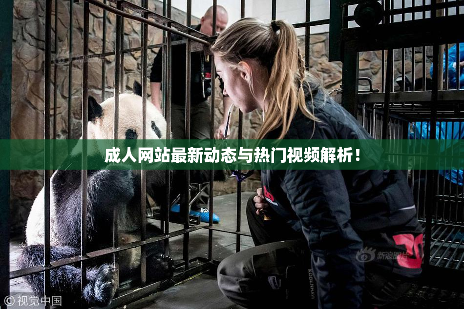 成人网站最新动态与热门视频解析！