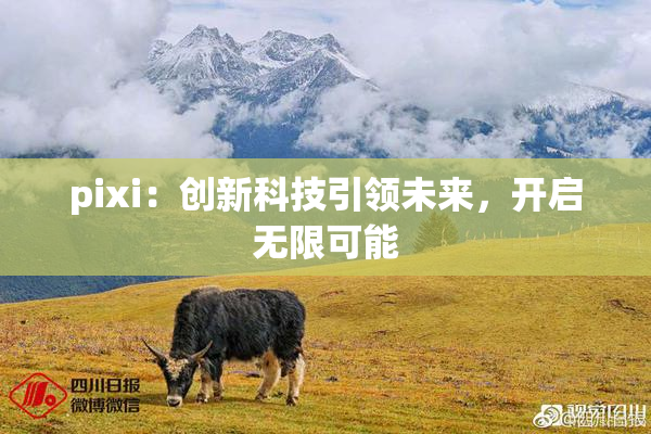 pixi：创新科技引领未来，开启无限可能