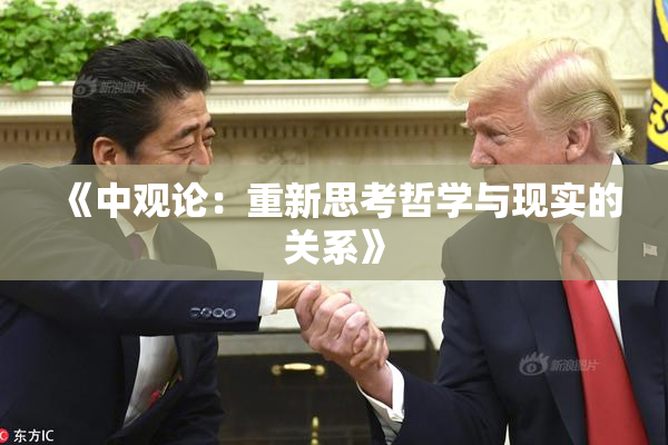 《中观论：重新思考哲学与现实的关系》