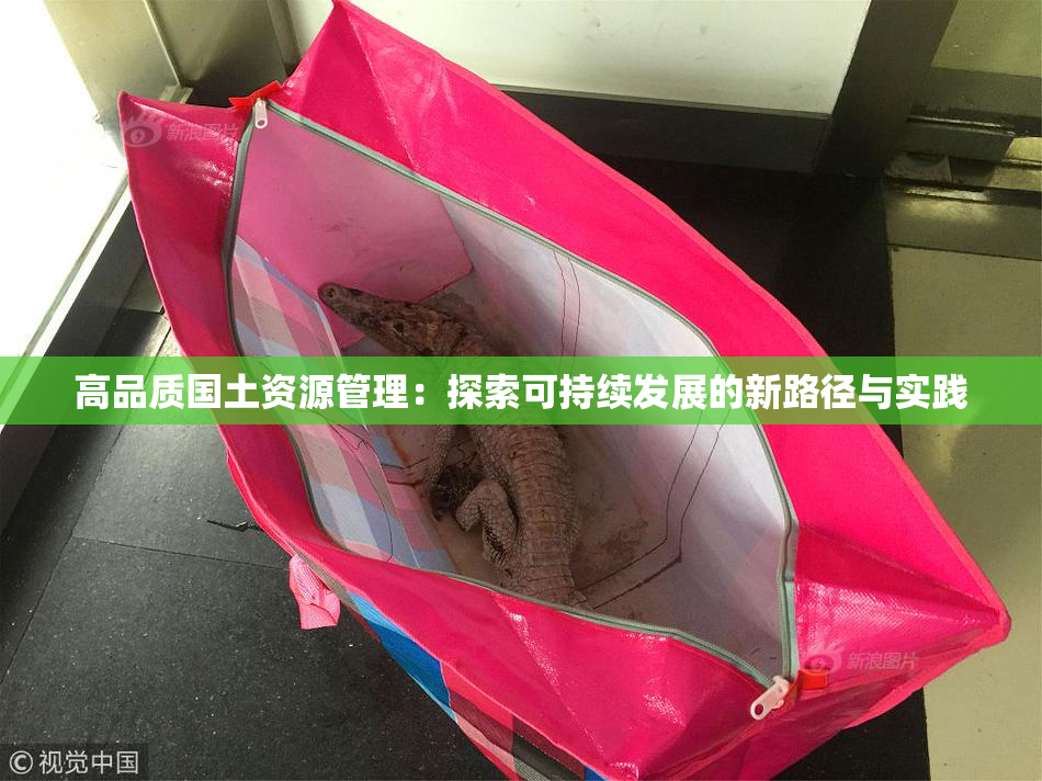 高品质国土资源管理：探索可持续发展的新路径与实践
