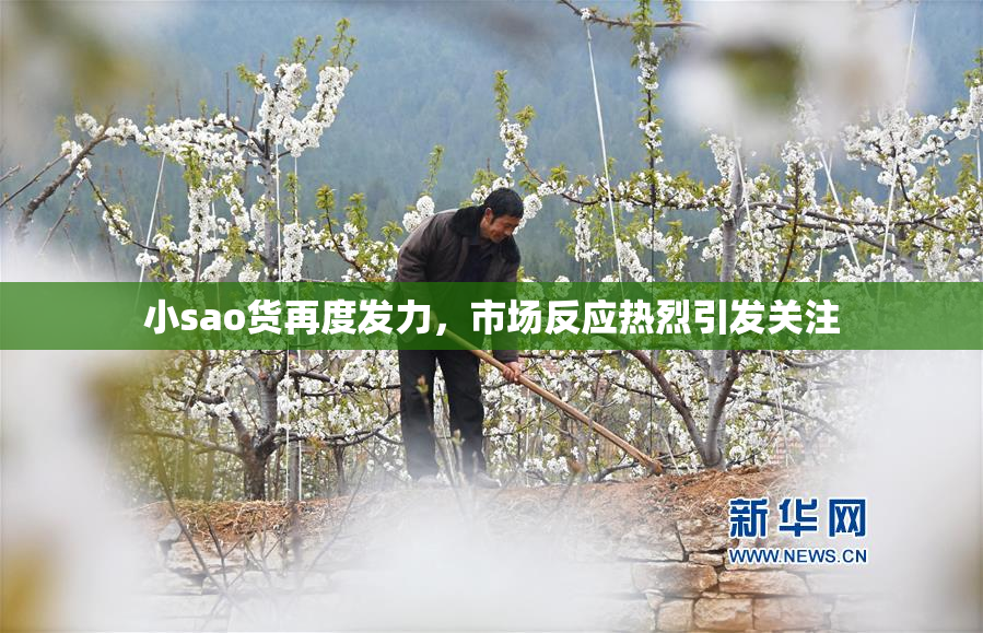 小sao货再度发力，市场反应热烈引发关注
