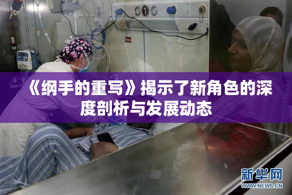 《纲手的重写》揭示了新角色的深度剖析与发展动态