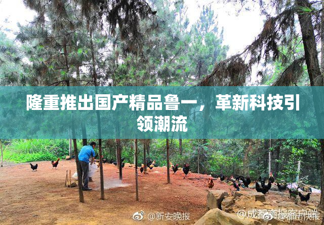 隆重推出国产精品鲁一，革新科技引领潮流
