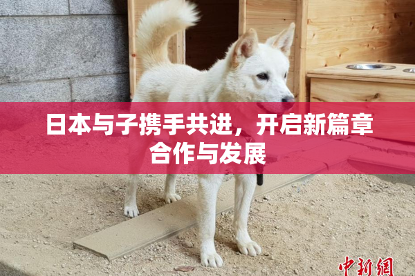 日本与子携手共进，开启新篇章合作与发展