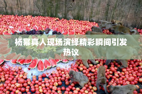 杨幂真人现场演绎精彩瞬间引发热议