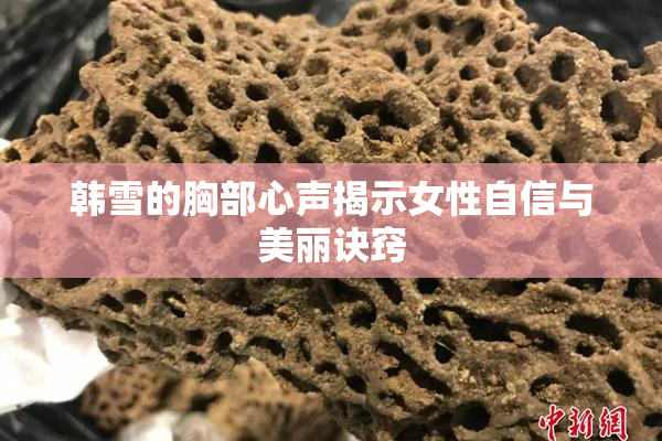 韩雪的胸部心声揭示女性自信与美丽诀窍