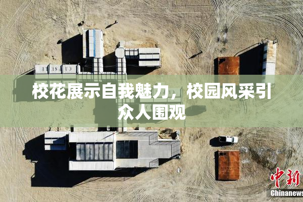 校花展示自我魅力，校园风采引众人围观