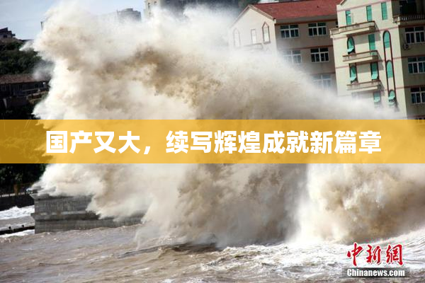 国产又大，续写辉煌成就新篇章