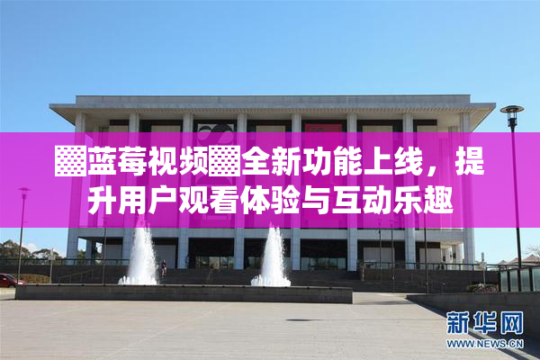▓蓝莓视频▓全新功能上线，提升用户观看体验与互动乐趣
