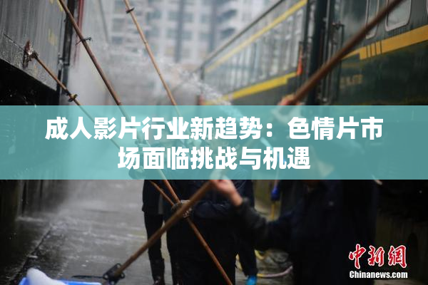 成人影片行业新趋势：色情片市场面临挑战与机遇